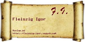 Fleiszig Igor névjegykártya